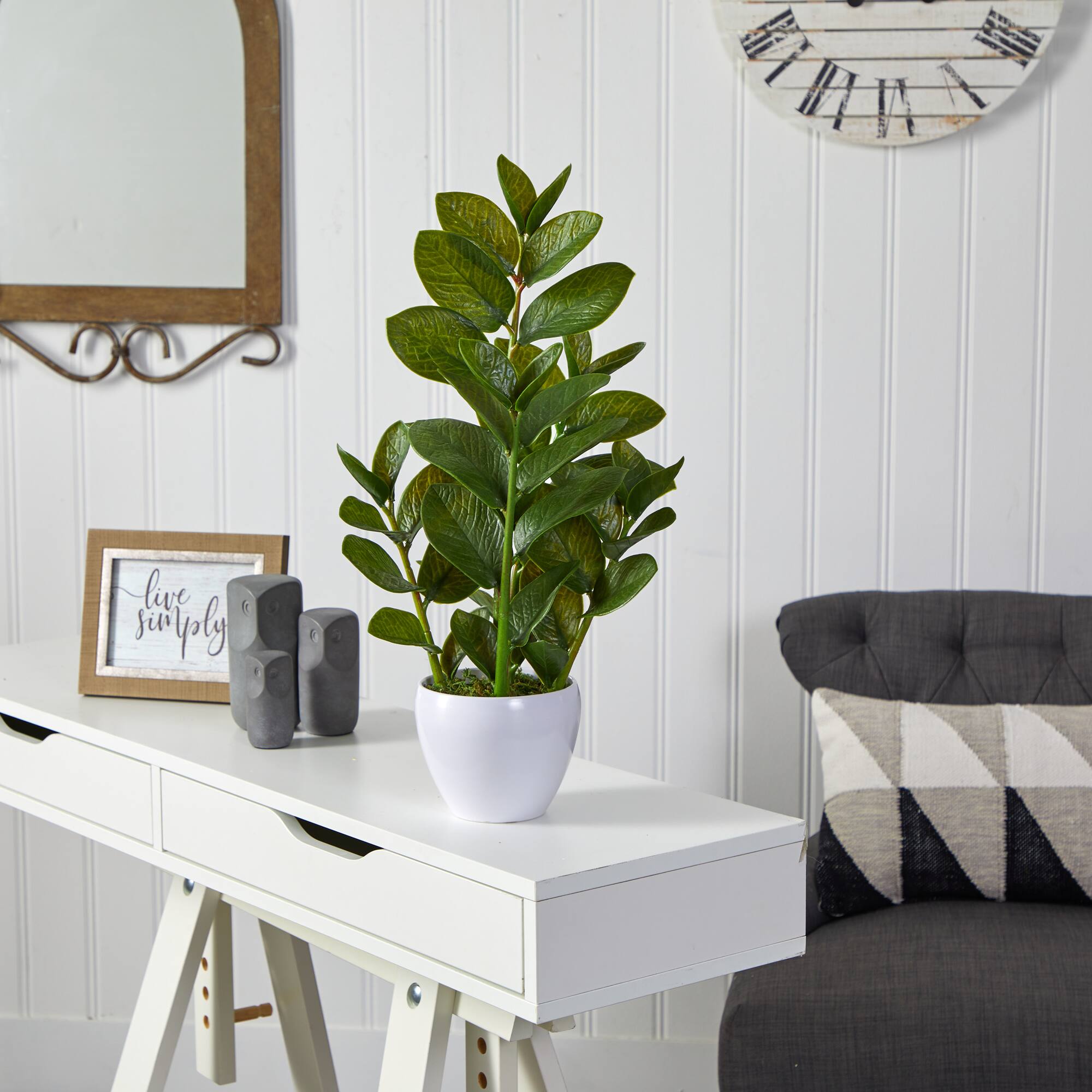 22" ZZ Plant in White Planter